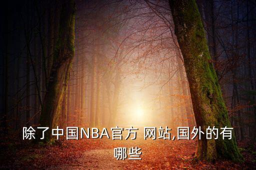 在哪個(gè)網(wǎng)站nba投注,nba中國官網(wǎng)正式成為nba官方之一