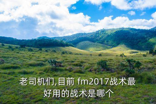 老司機們,目前 fm2017戰術(shù)最 好用的戰術(shù)是哪個(gè)