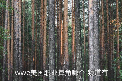  wwe美國職業(yè)摔角哪個 頻道有