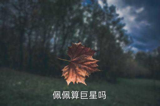 武僧佩佩是哪個隊,丑陋粗魯佩佩上世界杯葡萄牙中后衛(wèi)生涯回顧