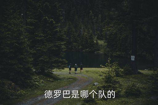 德羅巴哪個國家的,德羅巴基斯坦檔案世界杯決賽圈創(chuàng)造歷史