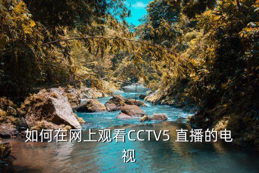 電腦哪個(gè)軟件看cctv5直播,精選電視直播節目