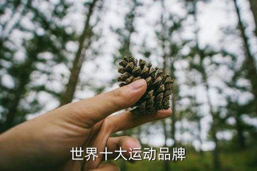 迪亞多納和彪馬哪個(gè)好,耐克品牌排名出爐美國運動(dòng)霸主