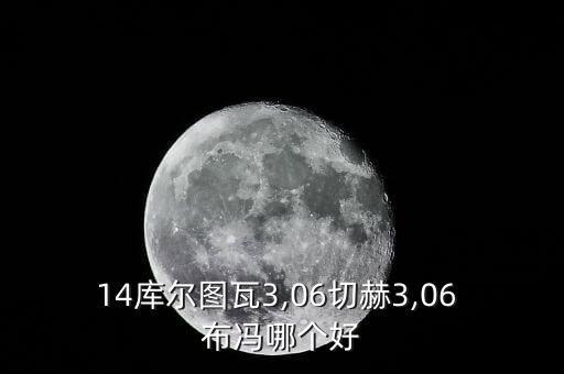 14庫爾圖瓦3,06切赫3,06 布馮哪個好