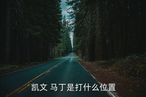  凱文 馬丁是打什么位置