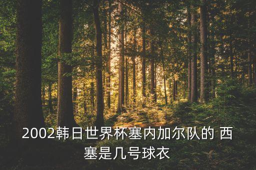 西塞在哪個(gè)球隊,西班牙巴塞羅那足球俱樂(lè )部被鄭智踢斷腿