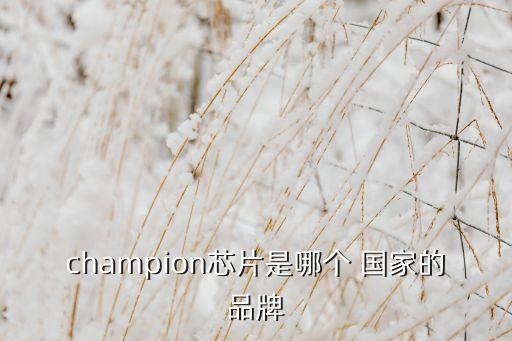 champion芯片是哪個(gè) 國家的品牌