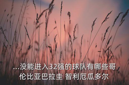 ...沒(méi)能進(jìn)入32強(qiáng)的球隊(duì)有哪些哥倫比亞巴拉圭 智利厄瓜多爾