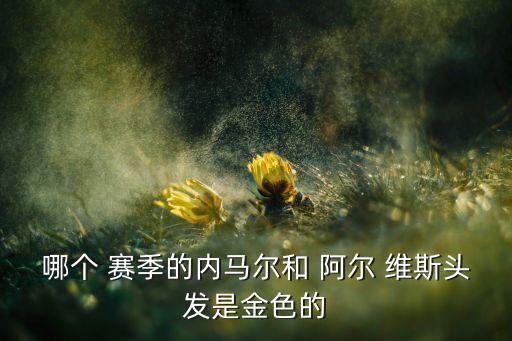 哪個(gè) 賽季的內馬爾和 阿爾 維斯頭發(fā)是金色的