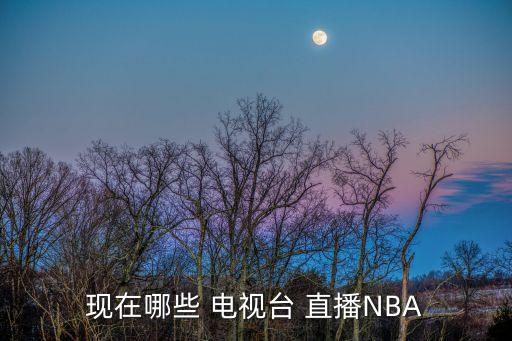 現在哪些 電視臺 直播NBA