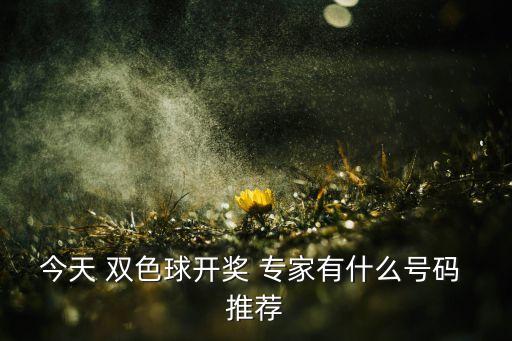 今天 雙色球開(kāi)獎(jiǎng) 專家有什么號(hào)碼 推薦