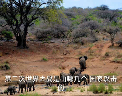 第二次世界大戰(zhàn)是由哪幾個 國家攻擊的