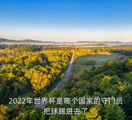 2022年世界杯是哪個(gè)國家的守門(mén)員把球踢進(jìn)去了