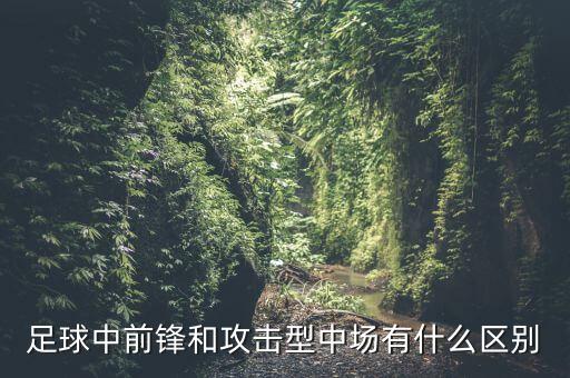 足球中前鋒和攻擊型中場(chǎng)有什么區別