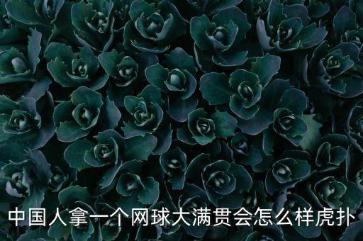 中國人拿一個(gè)網(wǎng)球大滿(mǎn)貫會(huì )怎么樣虎撲