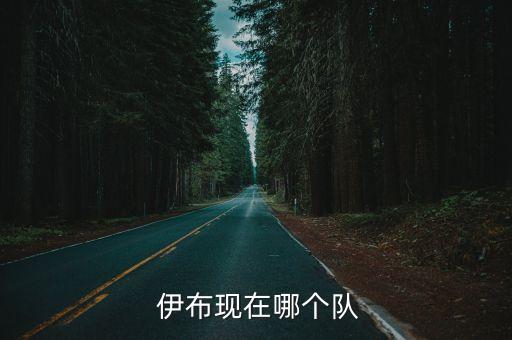  伊布現(xiàn)在哪個隊