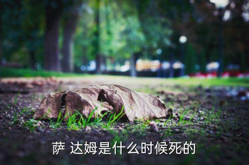 薩 達姆是什么時(shí)候死的