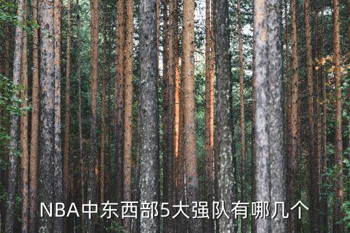 凱爾特人公牛哪個(gè)厲害,騎士、詹偉、哈登率隊進(jìn)入總決賽