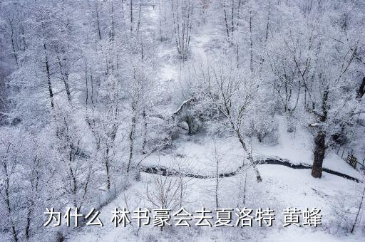 為什么 林書(shū)豪會(huì)去夏洛特 黃蜂