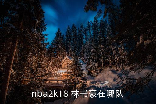 nba2k18 林書(shū)豪在哪隊