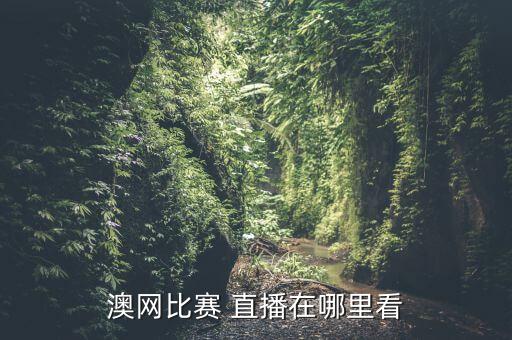 澳甲哪個(gè)平臺有直播,澳網(wǎng):你想不到的高清視頻沒(méi)有你看不到