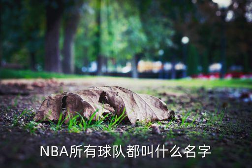 紐約是哪個籃球隊(duì),nba是nba球隊(duì)之一密爾沃基雄鹿火箭隊(duì)