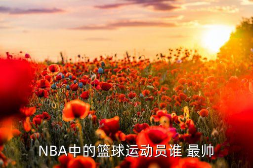 NBA中的籃球運動員誰 最帥