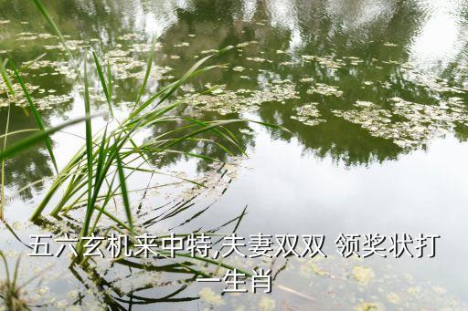 五六玄機(jī)來(lái)中特,夫妻雙雙 領(lǐng)獎(jiǎng)狀打一生肖