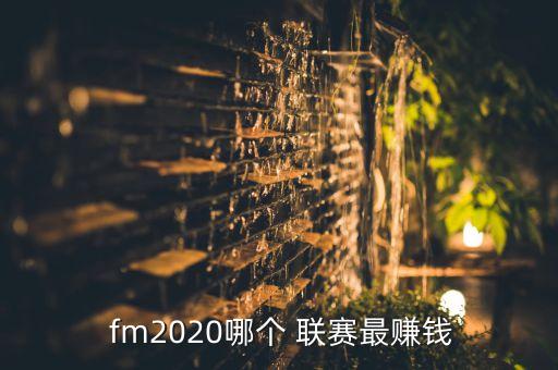  fm2020哪個(gè) 聯(lián)賽最賺錢(qián)