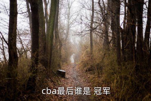  cba最后誰是 冠軍