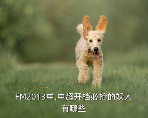 fm2013 哪個(gè)國家隊最強,法爾考的得分沒(méi)有12分好