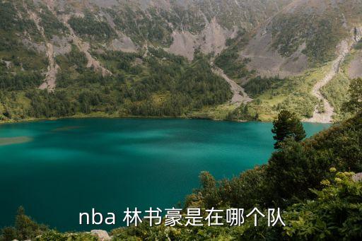 林書(shū)豪屬nba哪個(gè)隊,林書(shū)豪加盟nba布魯克林籃網(wǎng)隊