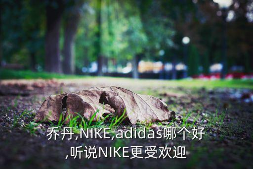 喬丹,NIKE,adidas哪個(gè)好,聽(tīng)說(shuō)NIKE更受歡迎