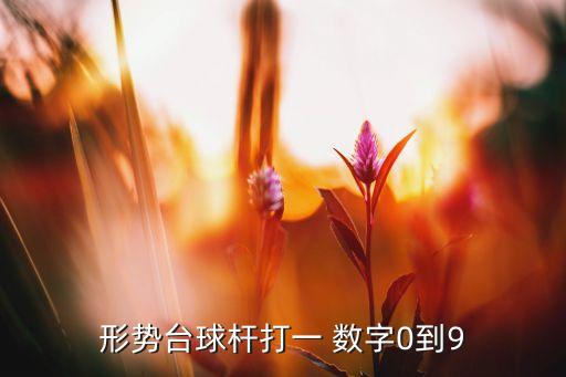 形勢臺球桿打一 數字0到9