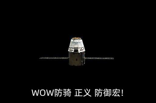 WOW防騎 正義 防御宏!