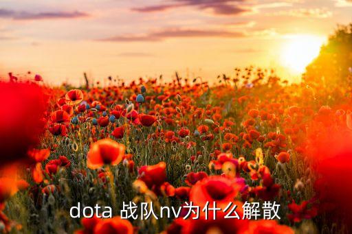 dota 戰(zhàn)隊(duì)nv為什么解散