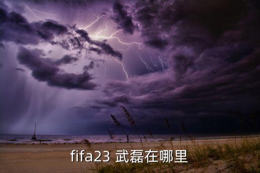 fifa17武磊在哪個(gè)隊,中國足球神童武磊99年來(lái)中國踢球