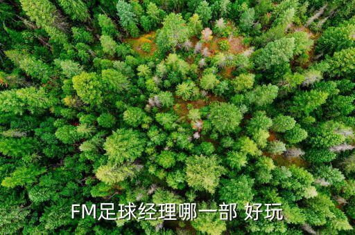 fm16哪個(gè)隊好玩,推薦玩fm2011破解完美英超沒(méi)弱隊