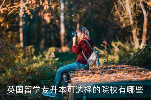 哈勒姆特哪個(gè)國家,中國批準首批英國大學(xué)成立