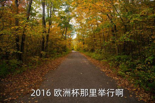 2016歐洲杯在哪個(gè)國家舉行,法國成為2016歐洲杯主辦國