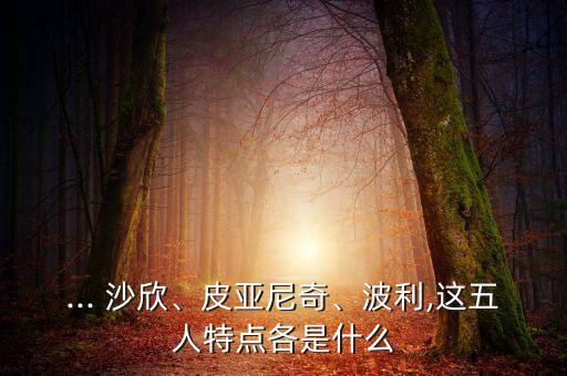 ... 沙欣、皮亞尼奇、波利,這五人特點(diǎn)各是什么