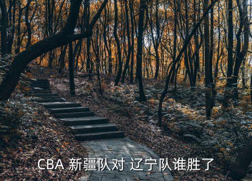 CBA 新疆隊對 遼寧隊誰(shuí)勝了