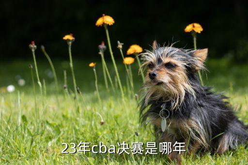 cba3月23日賽程直播哪個隊,常規(guī)賽第三階段:中國對伊朗