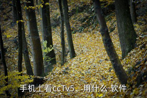 手機上看ccTv5、用什么 軟件