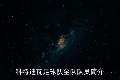 科特迪瓦足球隊(duì)全隊(duì)隊(duì)員簡(jiǎn)介