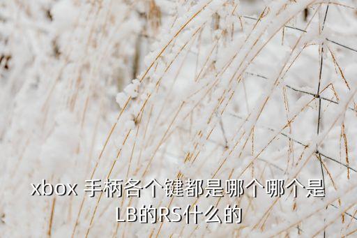 xbox 手柄各個(gè)鍵都是哪個(gè)哪個(gè)是LB的RS什么的