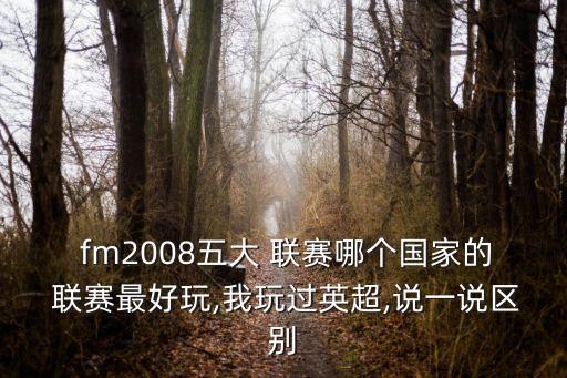  fm2008五大 聯(lián)賽哪個(gè)國家的 聯(lián)賽最好玩,我玩過(guò)英超,說(shuō)一說(shuō)區別