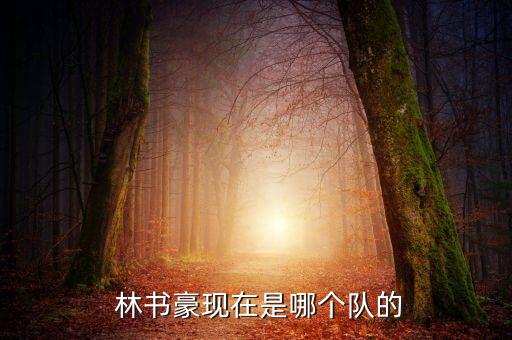 林書豪現(xiàn)在在哪個球隊,林書豪與廣州隊合同已完成