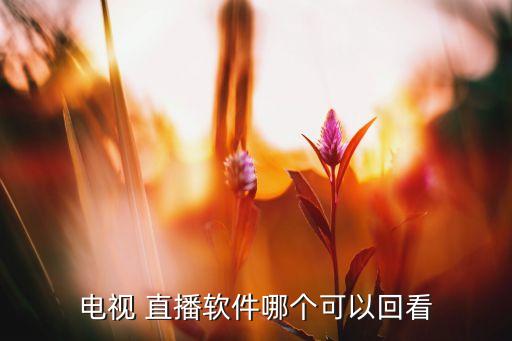 哪個(gè)直播可以看回放,本地新增四個(gè)直播頻道