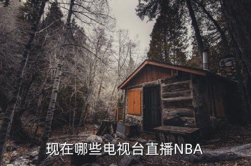 現在哪些電視臺直播NBA